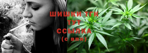 стаф Кодинск