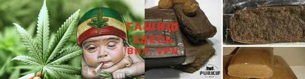 стаф Кодинск