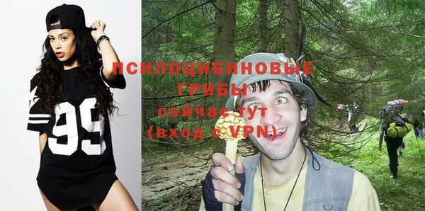 стаф Кодинск