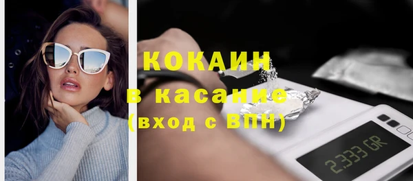 стаф Кодинск