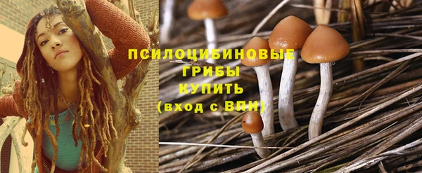 стаф Кодинск