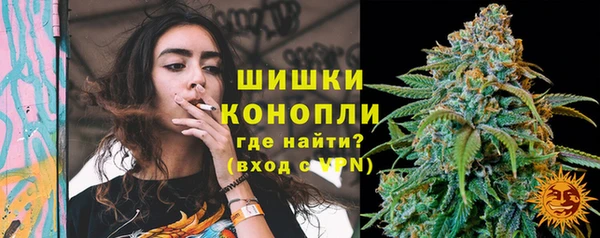 стаф Кодинск