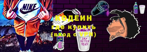 стаф Кодинск